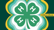4-H Week