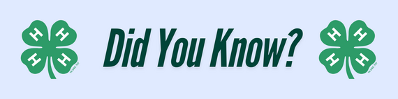 did you know