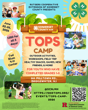 tops