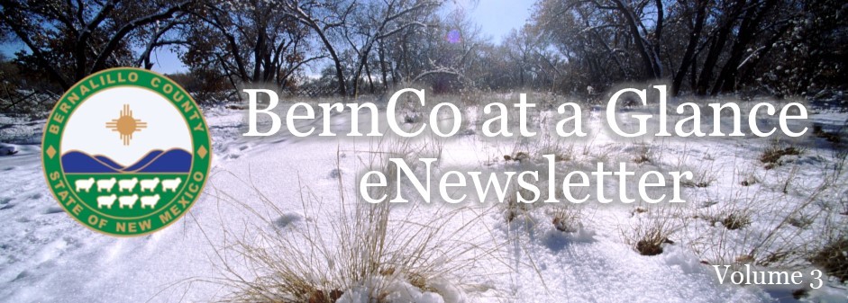 BernCo Winter