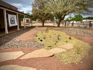 front view of Gutierrez Hubbell House, a historic adobe building, with a mulched basin with small plants in front