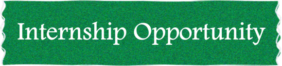 Internship Opportunity