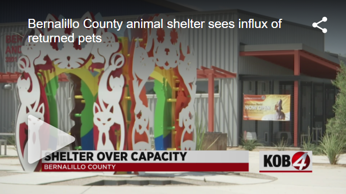 KOB Animal Care Video