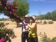 Bachechi volunteer workday 2018