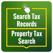 SearchTaxRecords
