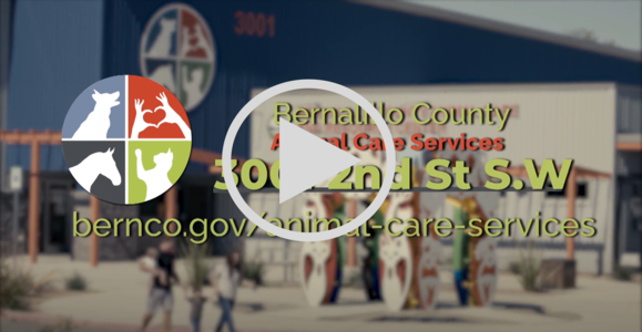 Animal Care Services_Charlie