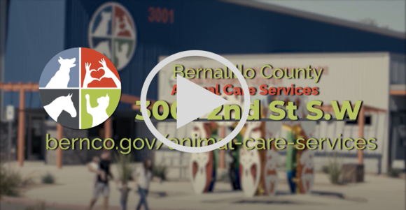 Animal Care Services_Charlie