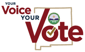 Bernco Vote graphic final (002)