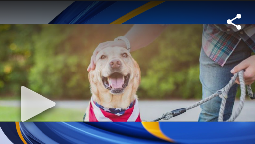 Animal Care 4th of July