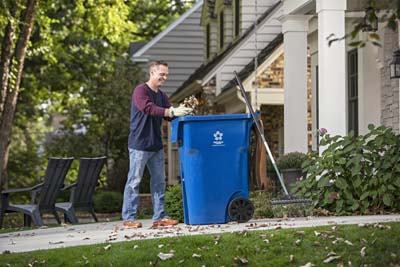 RECYCLE - No Leaves in Recycle Bin