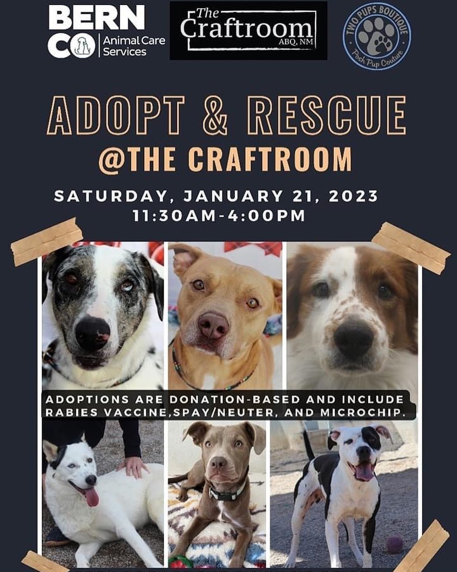 Adopt and Rescue event graphic