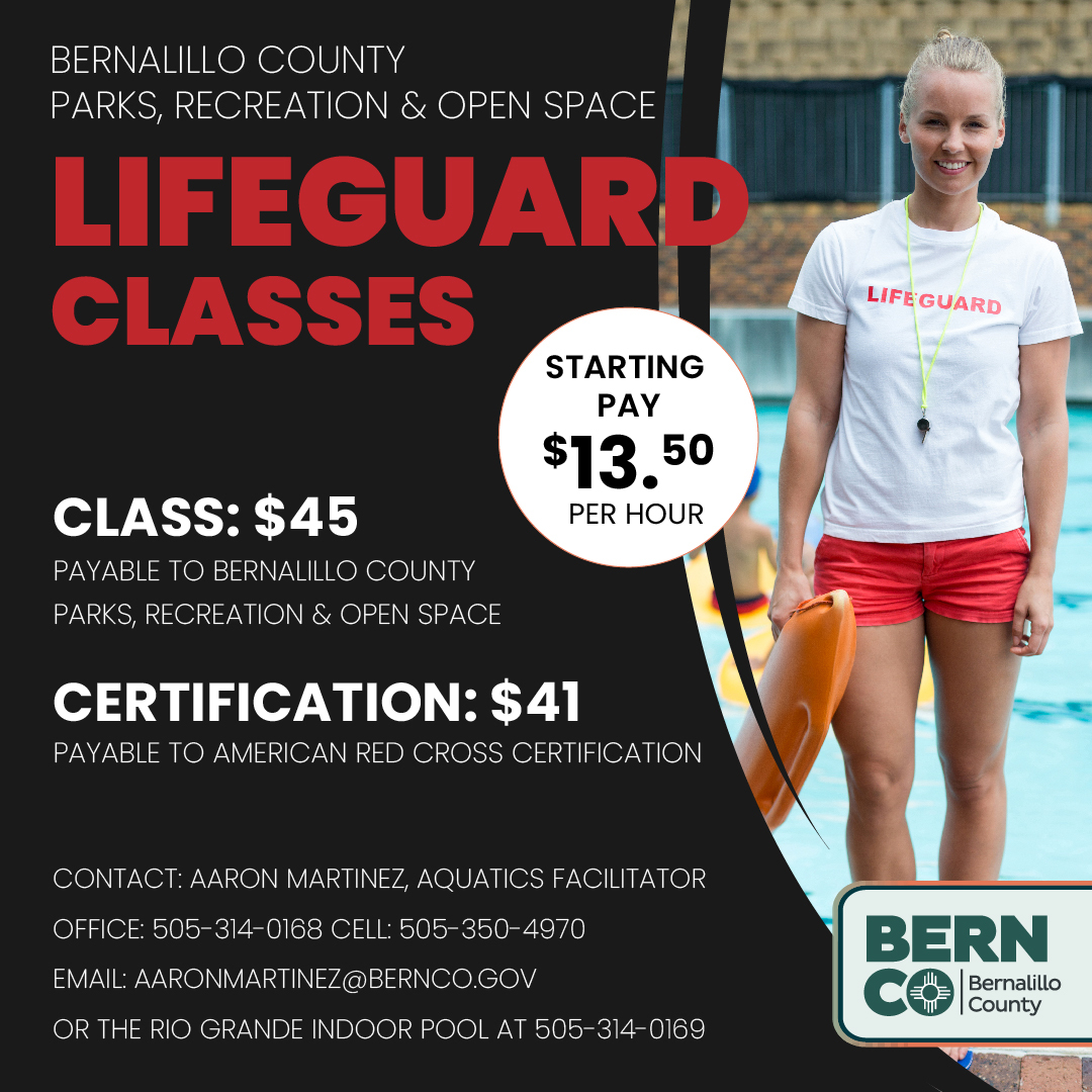 Lifeguard classes flyer