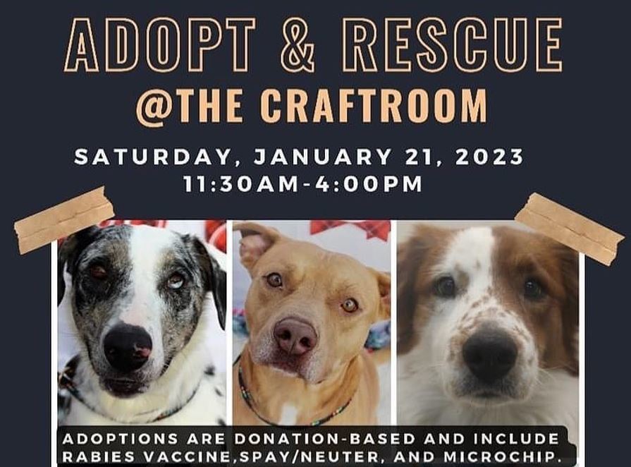 Adopt and Rescue flyer