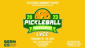 Pickleball tournament graphic