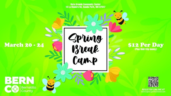 Spring Break Camp graphic