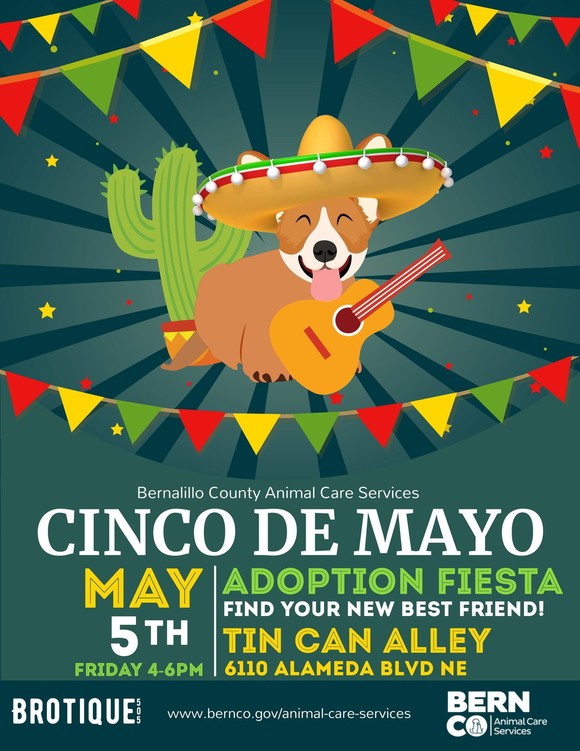 Cinco de Mayo Adoption Fiesta