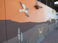 south valley pool mural