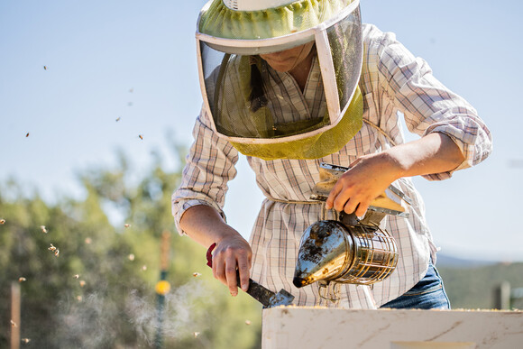 bee keeper