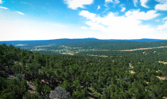 SEDILLO RIDGE BERNCO BEAT