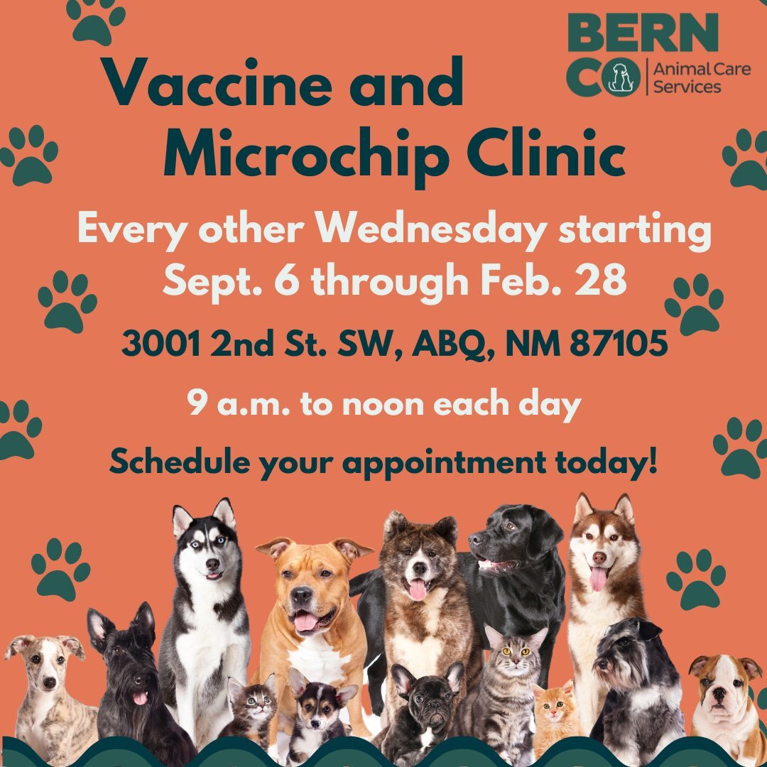 BernCo at a Glance Jan. 3, 2024