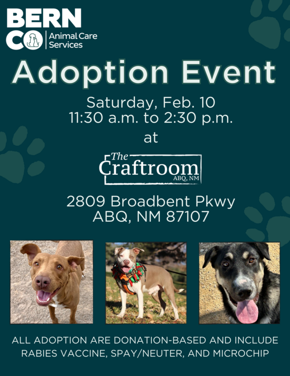 adoption event