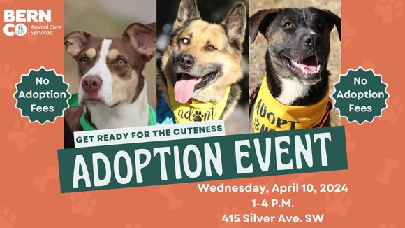 adoption event