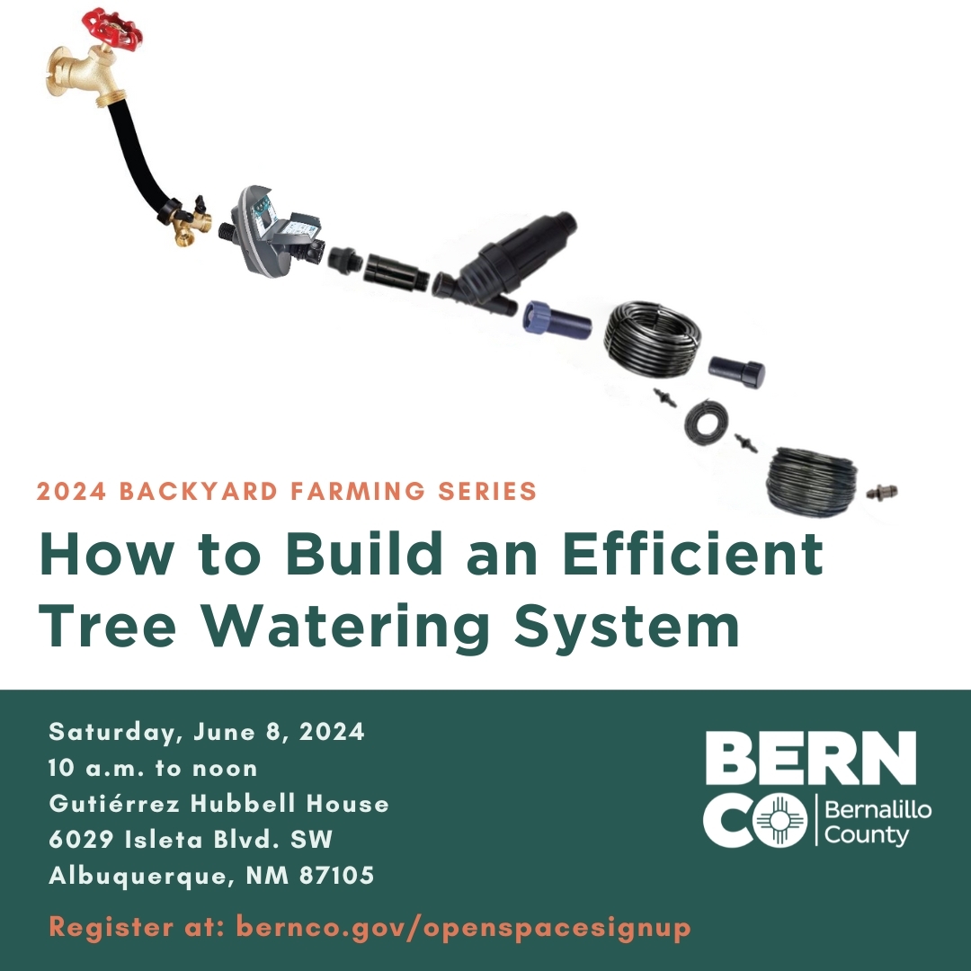 Tree Irrigation Workshop