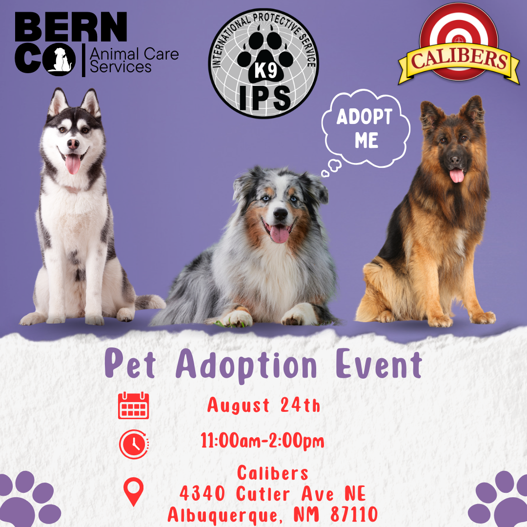 adoption event