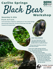 black bear workshop