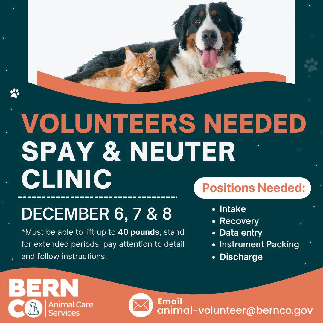 Spay and Neuter