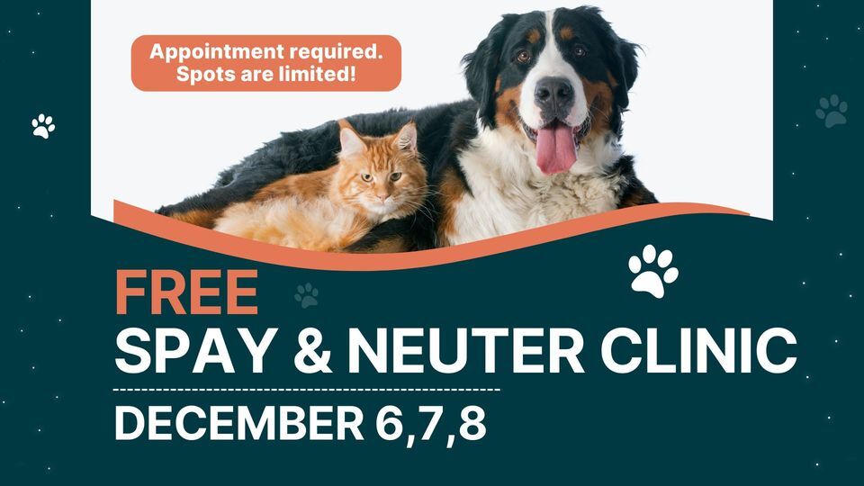 Spay and Neuter