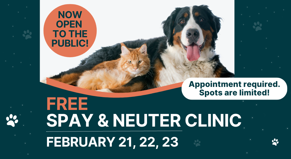 Spay and Neuter