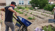 urban ag