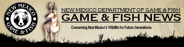 news banner bw logo