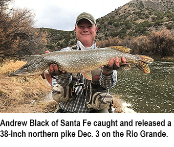 New Mexico fishing and stocking report for Dec. 5