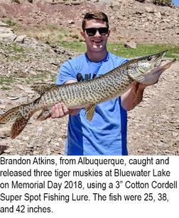 June 5, Fishing and Stalking Report