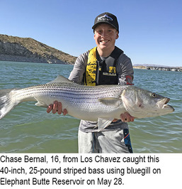 New Mexico fishing and stocking reports for June 12