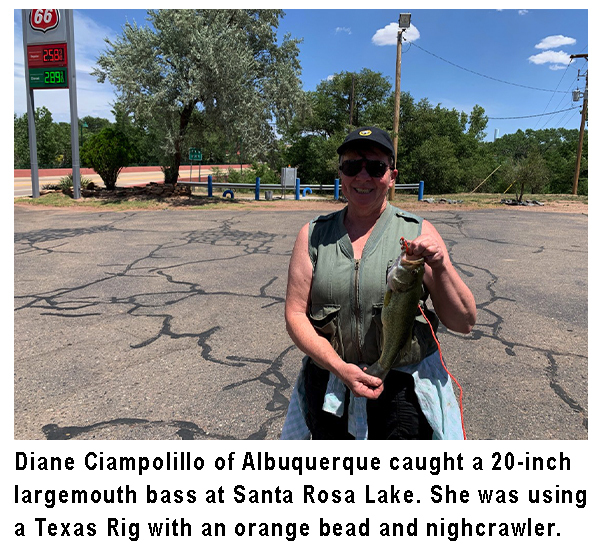 New Mexico fishing and stocking reports for August 13, 2019 – KRTN  Enchanted Air Radio