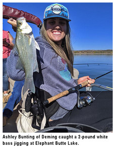 New Mexico fishing and stocking reports for September 24, 2019