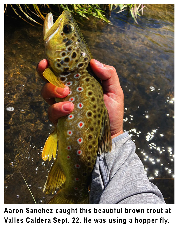 New Mexico fishing and stocking reports for October 1