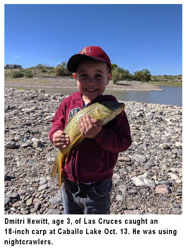 New Mexico fishing and stocking reports for October 15, 2019