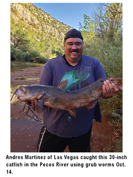 Martinez fishing image