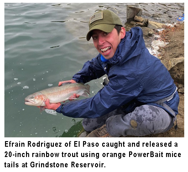 New Mexico fishing and stocking reports for April 20, 2021 – KRTN Enchanted  Air Radio