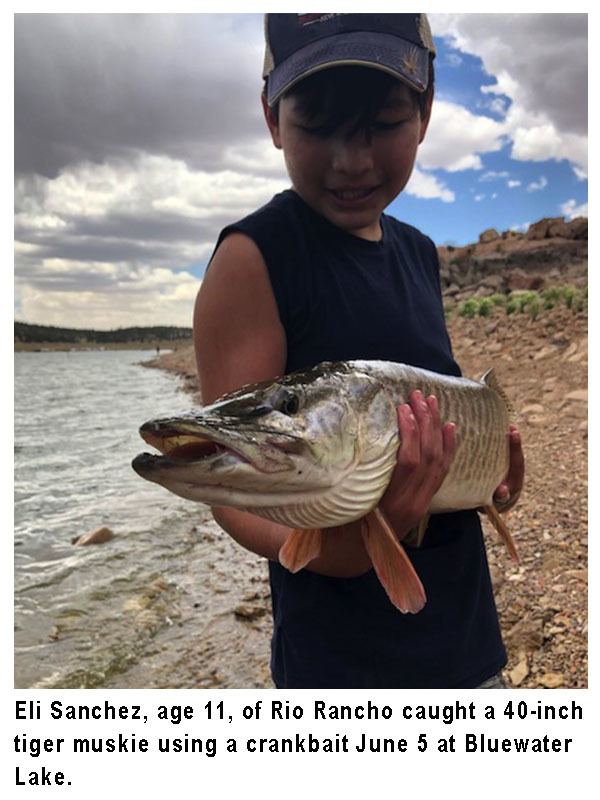 New Mexico fishing and stocking reports for June 8