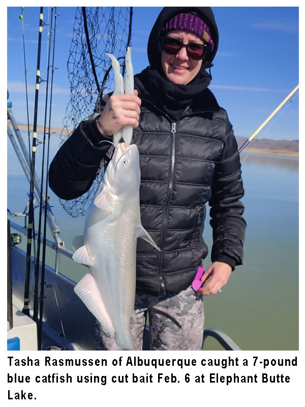 New Mexico fishing and stocking reports for February 8