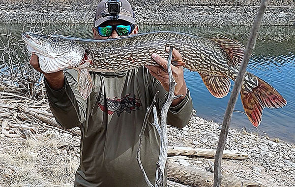New Mexico fishing and stocking reports for June 11