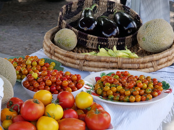 Tomatoes