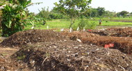 Compost