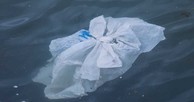Plastic in Water