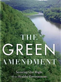 The Green Amendment